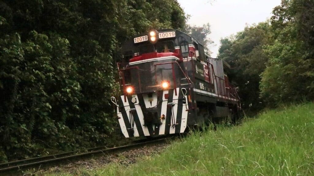 Accidente de tren y camioneta en Cosoleacaque deja seis heridos 1 accidente de tren y camioneta en cosoleacaque deja seis heridos