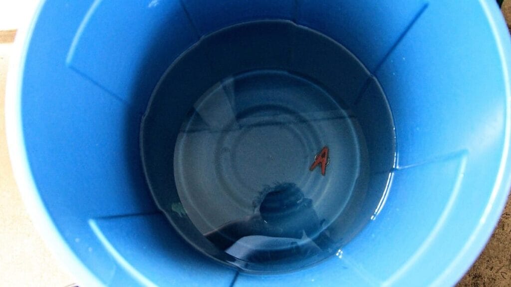 CMAS Xalapa cumple 70% calendario de tandeos y mejora distribución de agua 1 cmas xalapa cumple 70 calendario de tandeos y mejora distribucion de agua