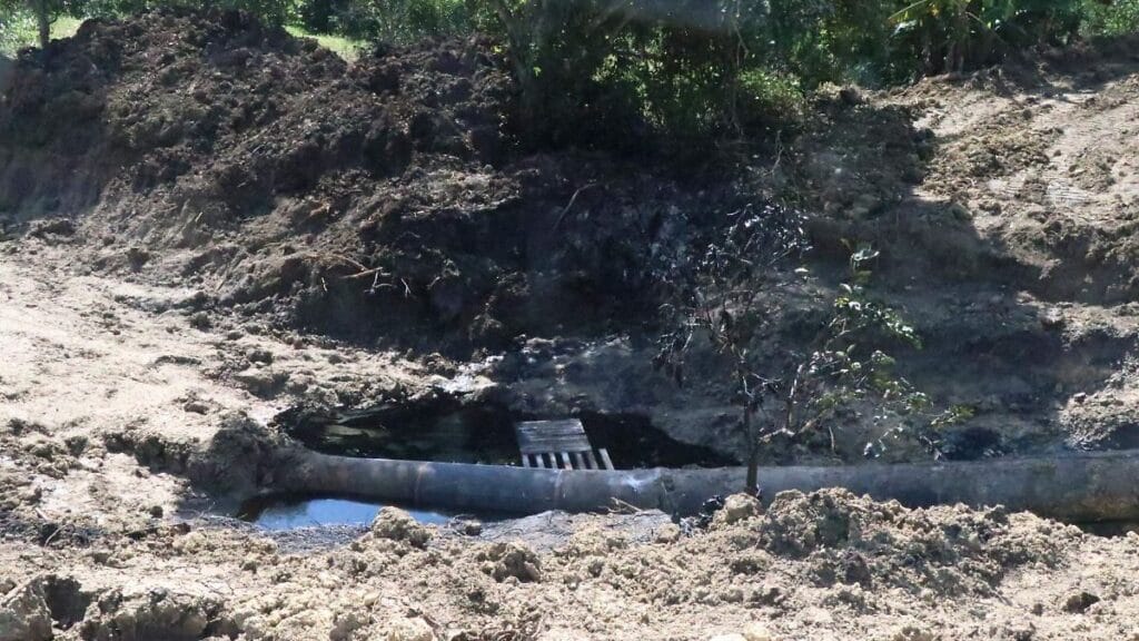 Pemex niega responsabilidad por derrame que afectó fauna en Agua Dulce 1 pemex niega responsabilidad por derrame que afecto fauna en agua dulce