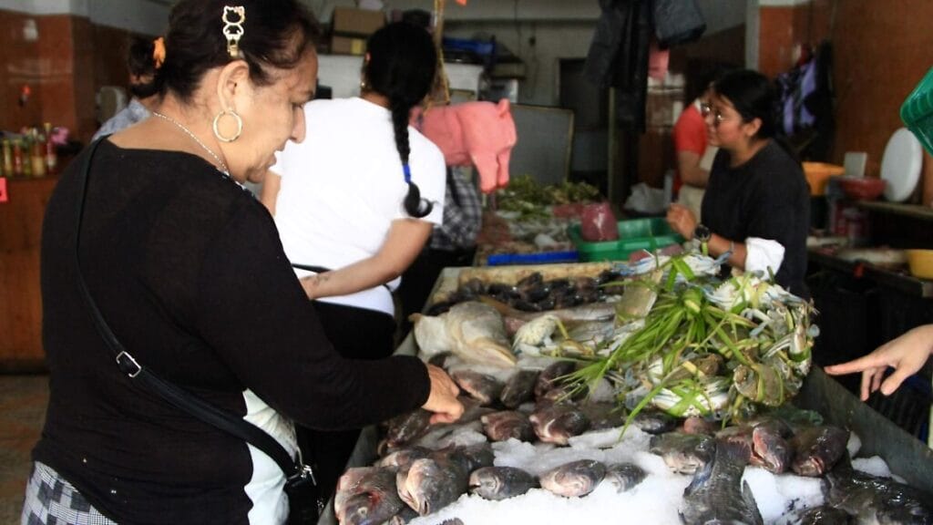 Pescaderías en Xalapa mantienen ventas estables y esperan 20% más 1 pescaderias en xalapa mantienen ventas estables y esperan 20 mas