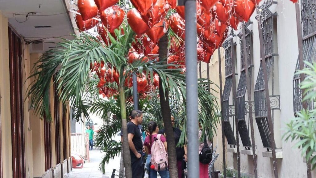 Veracruzanos celebran San Valentín priorizando tiempo de calidad 1 veracruzanos celebran san valentin priorizando tiempo de calidad