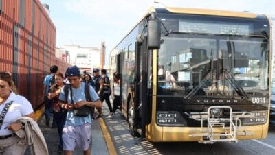 descubre la sorprendente noticia sobre los autobuses ulua y el futuro de los tib