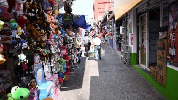 descubre por que el 70 de los trabajadores en veracruz lucha en la informalidad