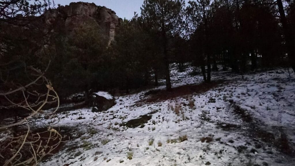 Heladas blancas y negras en Veracruz: qué son y por qué pueden surgir 1 heladas blancas y negras en veracruz que son y por que pueden surgir