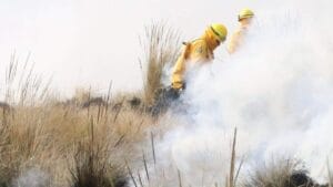 impactante veracruz enfrenta 23 incendios forestales y miles de hectareas en pel