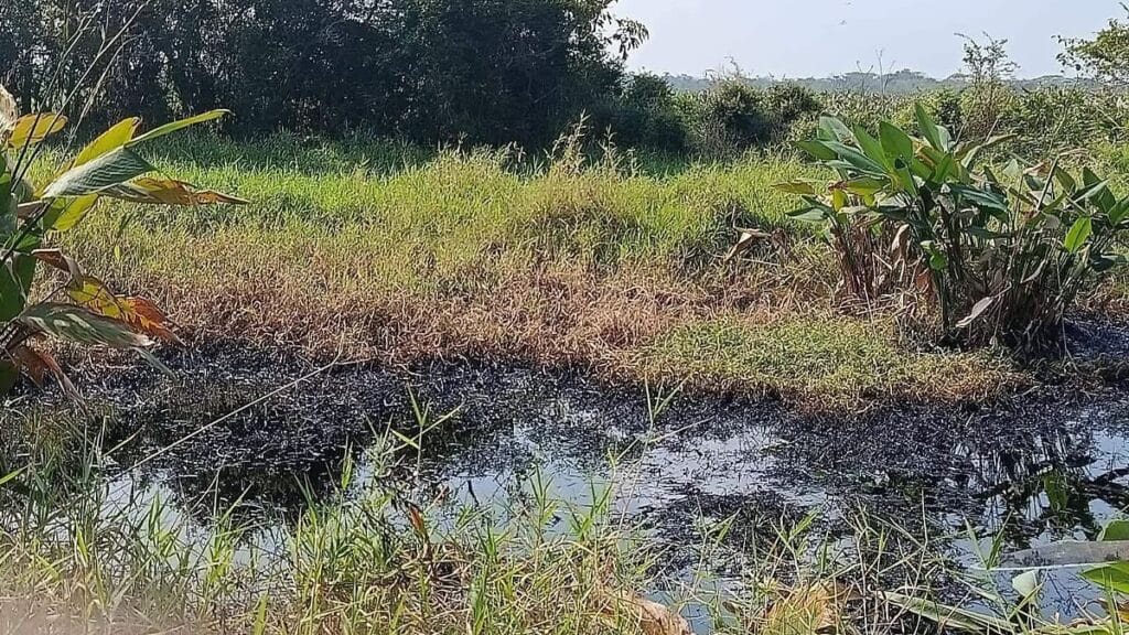 Infantes hospitalizados por fuga de hidrocarburo en Minatitlán 1 infantes hospitalizados por fuga de hidrocarburo en minatitlan