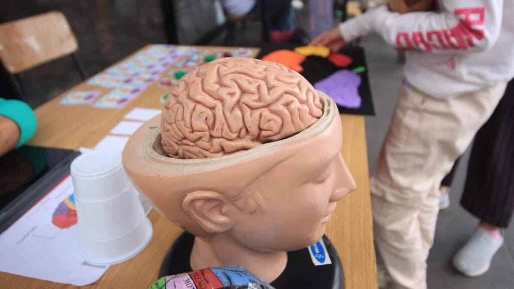 Trastornos psiquiátricos en la Semana del Cerebro 2026 en la UV 1 trastornos psiquiatricos en la semana del cerebro 2026 en la uv