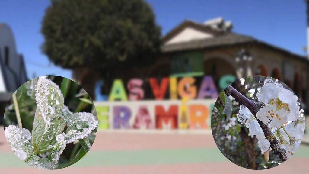 Vigas amanecen con helada blanca y bajas temperaturas en Veracruz 1 vigas amanecen con helada blanca y bajas temperaturas en veracruz