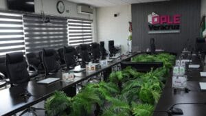 descubre quienes son los candidatos seleccionados para la eleccion extraordinari